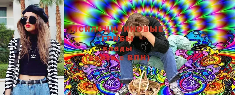 Галлюциногенные грибы Cubensis Струнино